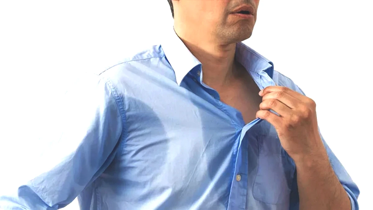 687b70d1c8ac9249.webp