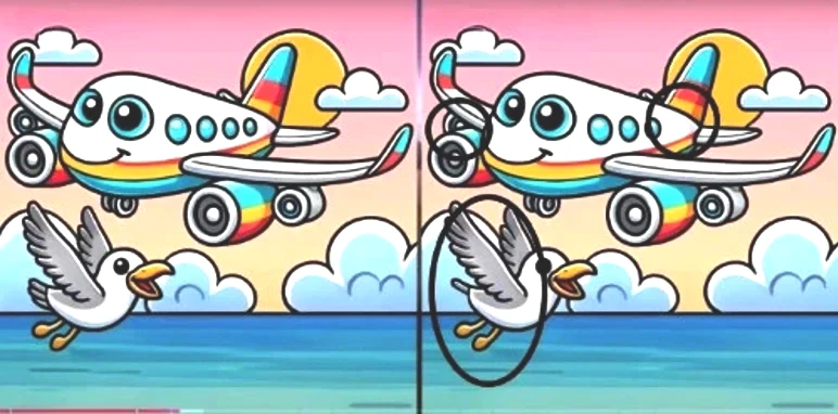 plane-sol-runq.webp