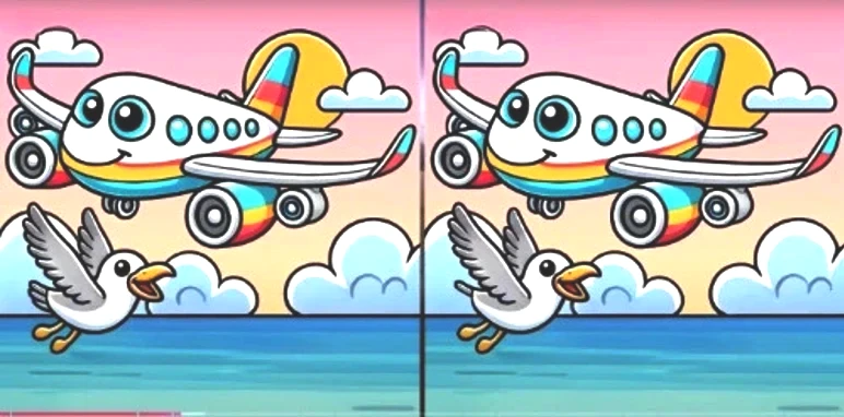 plane-puzzle-ayjg.webp